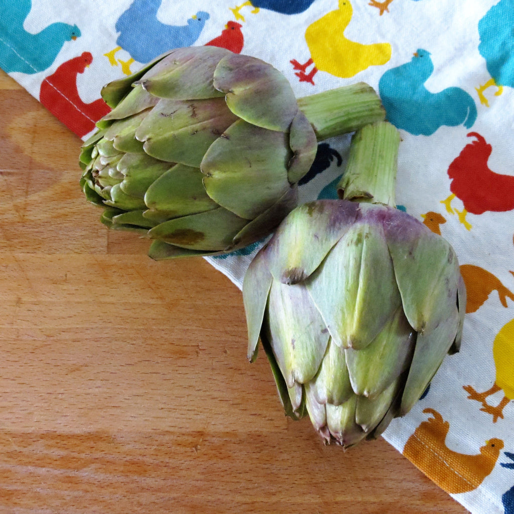 Artichoke, France | Maison Duffour