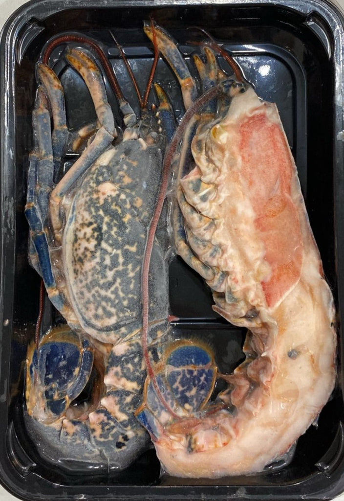 blue Lobster Frozen - Maison Dufour UAE Gourmet Fod Store Dubai