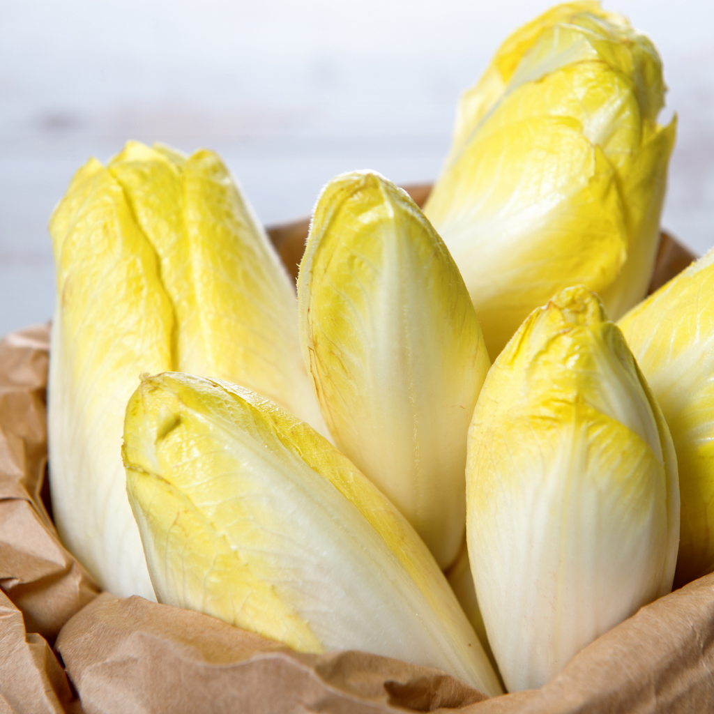 Endive Chicory Label Rouge France - Maison Duffour UAE Gourmet Food Store Dubai