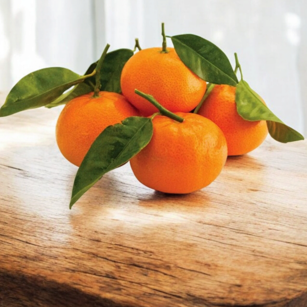 Orri mandarin France fresh fruits - Maison Duffour UAE Gourmet food store Dubai 