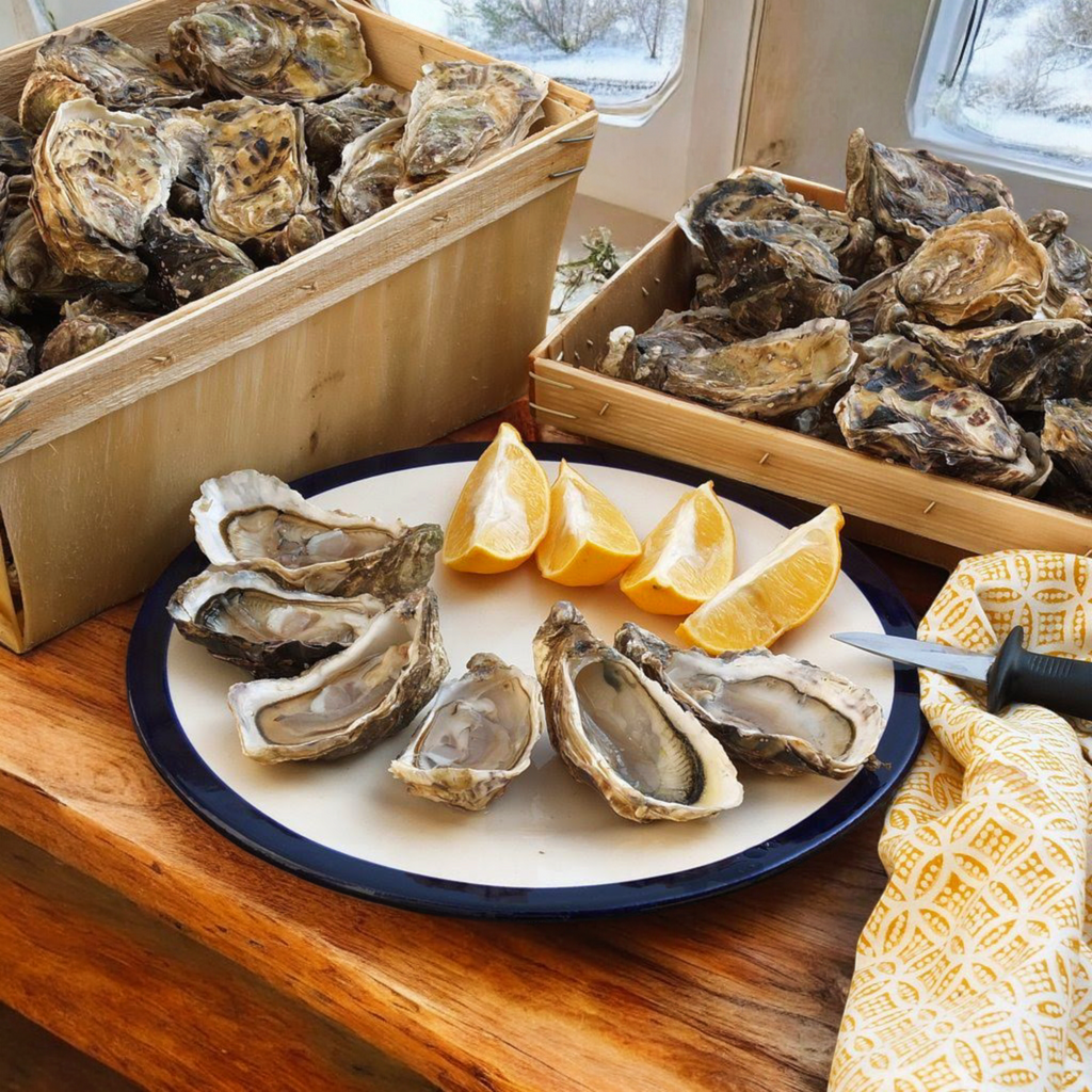 Fine de Claire oyster Marennes Oleron France - Maison Duffour UAE Gourmet Food Store Dubai