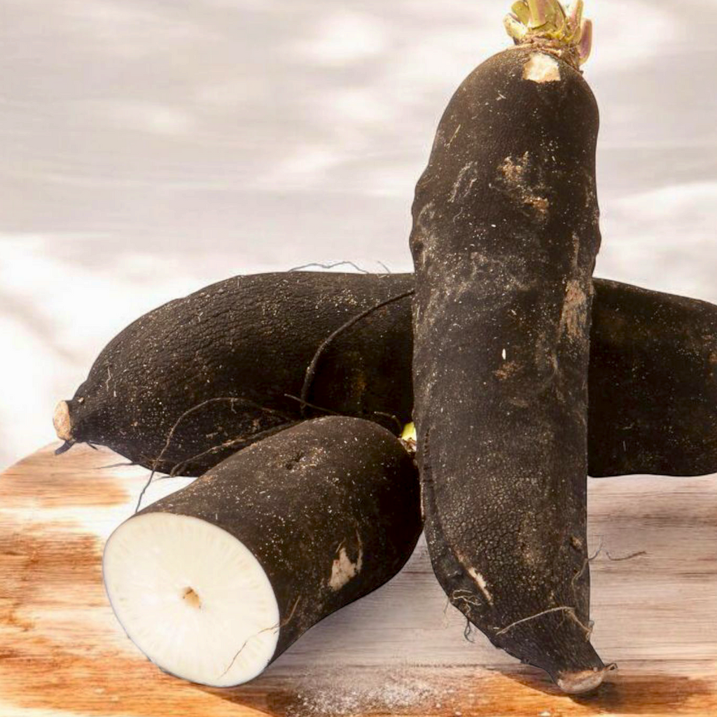 Black radish radis noir France - Maison Duffour UAE Gourmet Food store Dubai 