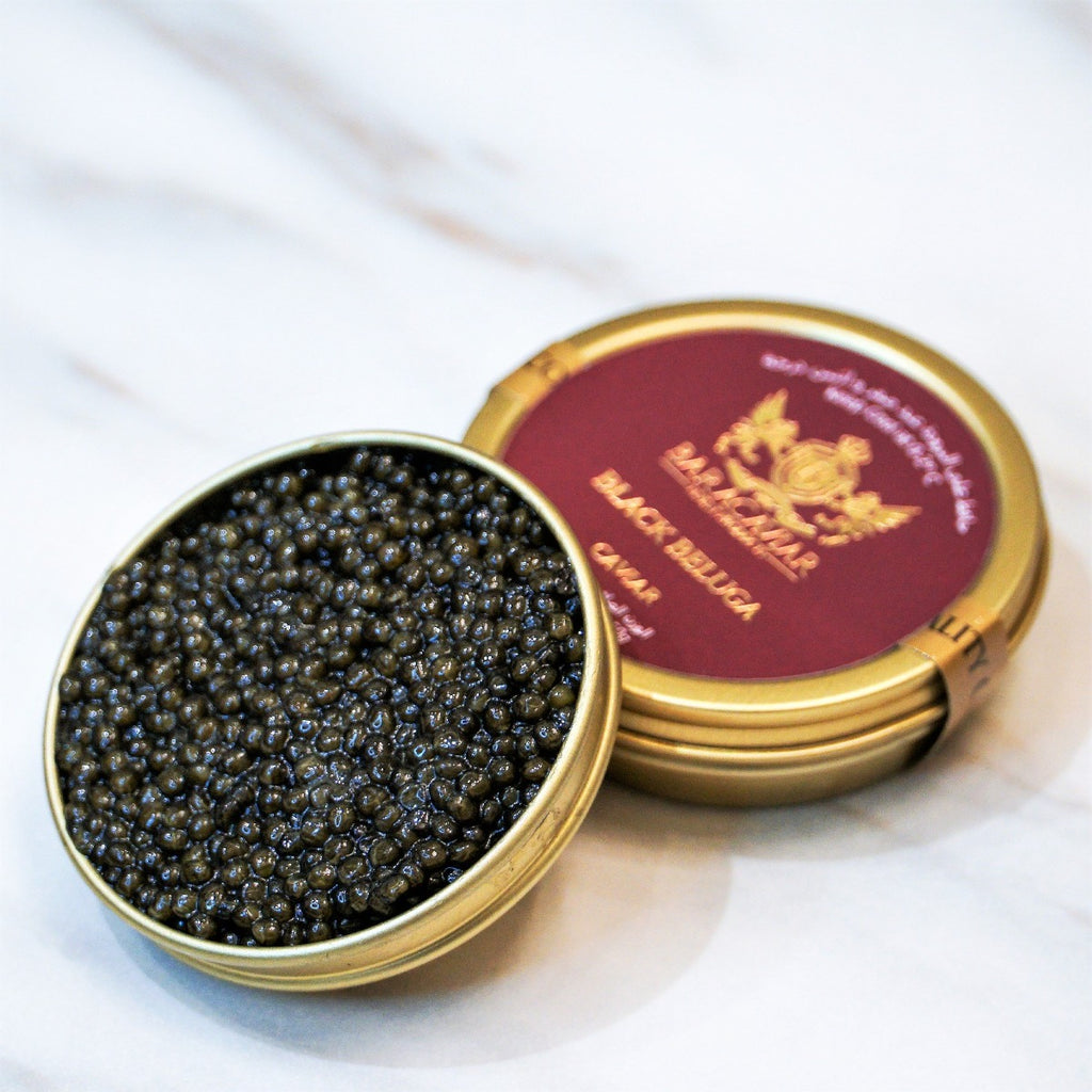 15 Year. Huso Dauricus Sustainable Black Caviar｜VantaBlack Caviar