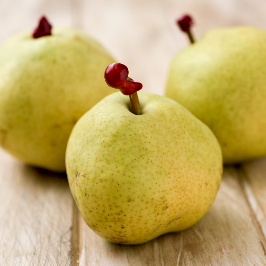 Pear Passe-crassane, France | Maison Duffour UAE Gourmet Food Store Dubai