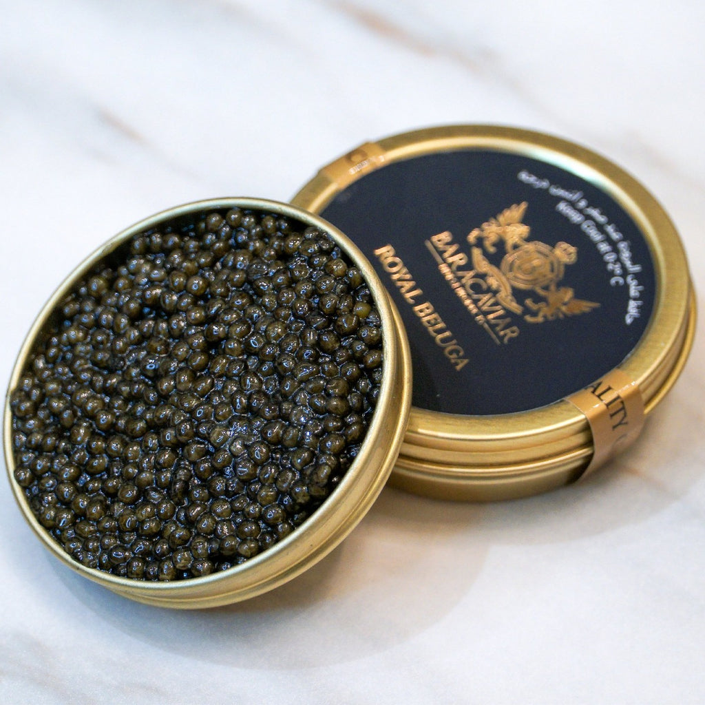 15 Year. Huso Dauricus Sustainable Black Caviar｜VantaBlack Caviar